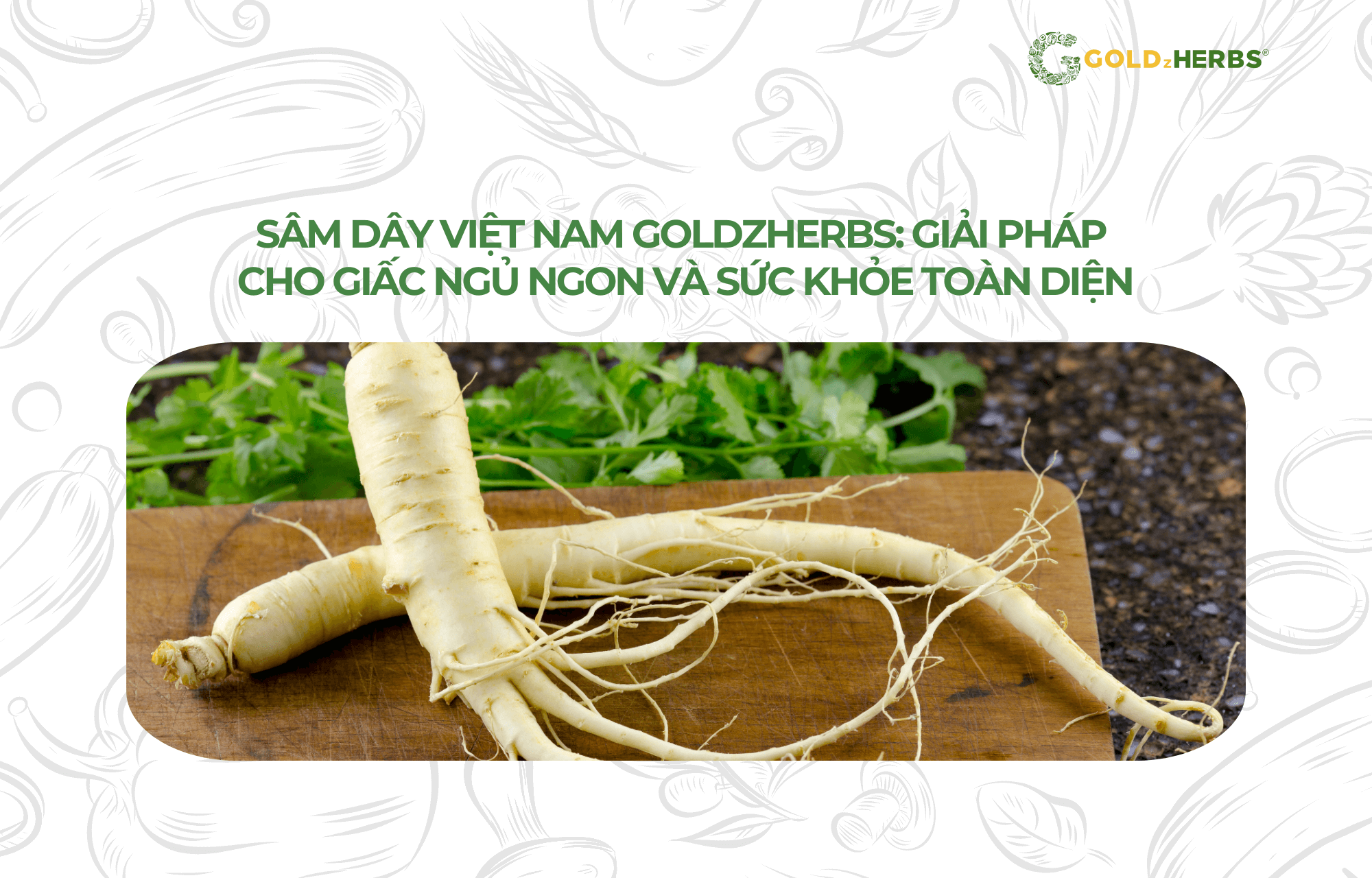 sam-day-viet-nam-goldzherbs (4)