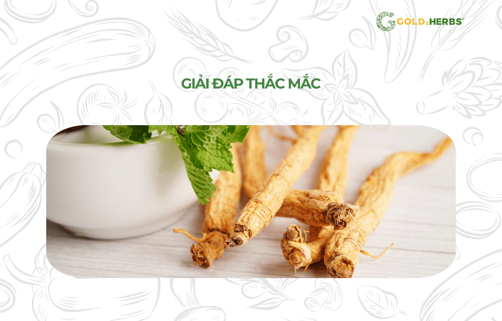 sam-day-viet-nam-goldzherbs (4)