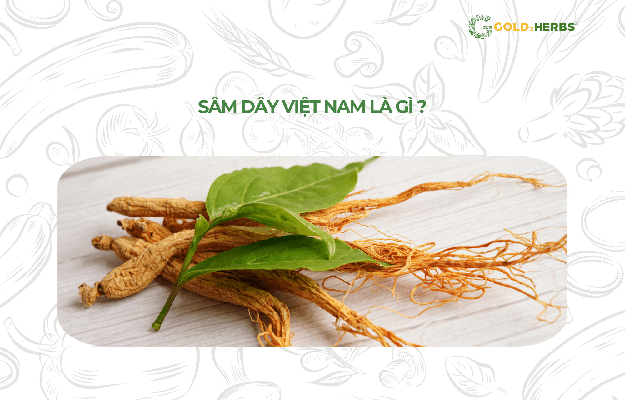 sam-day-viet-nam-goldzherbs (4)