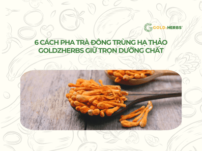 tra-dong-trung-ha-thao-goldzherbs (1)