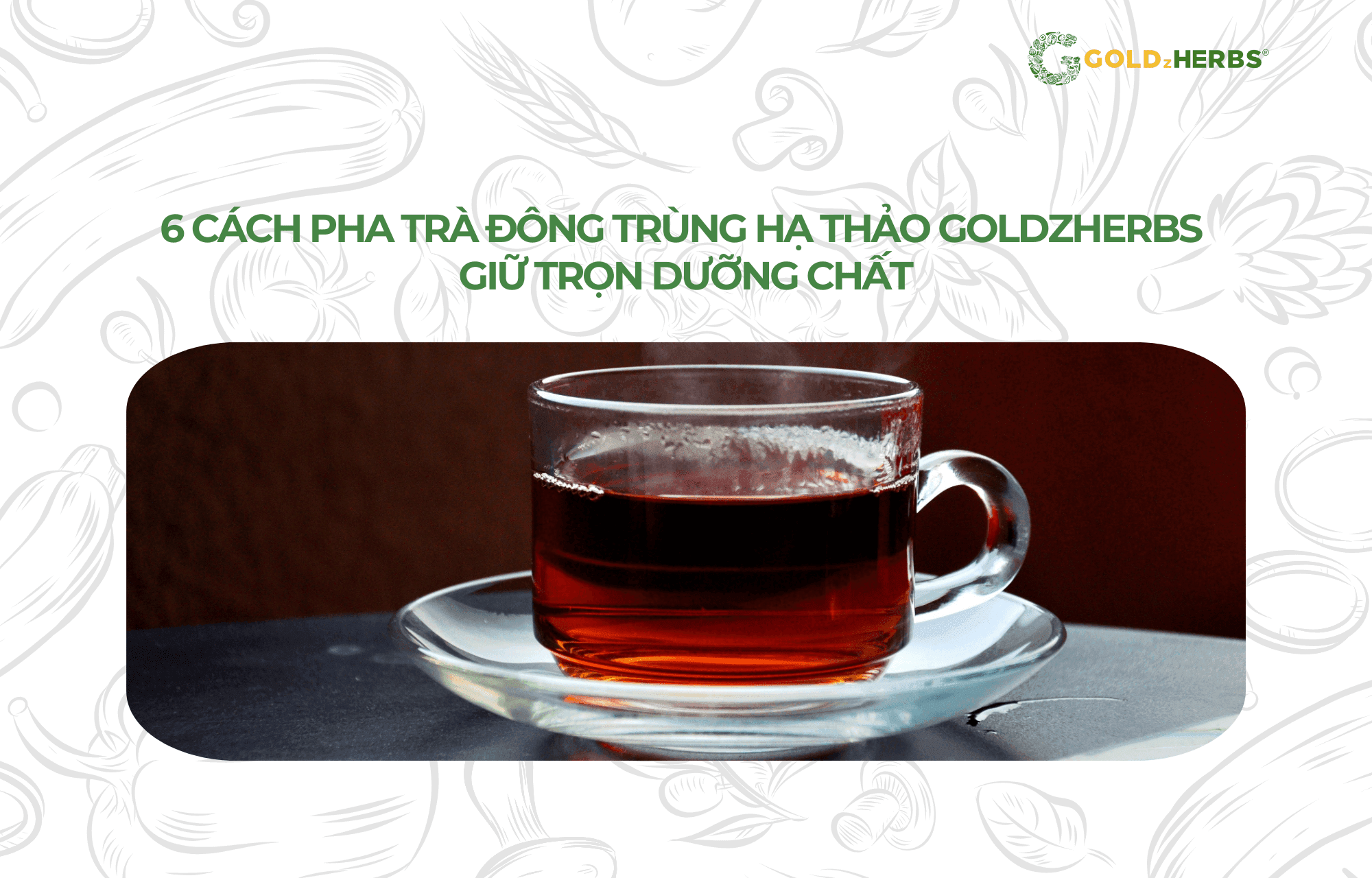 tra-dong-trung-ha-thao-goldzherbs (1)