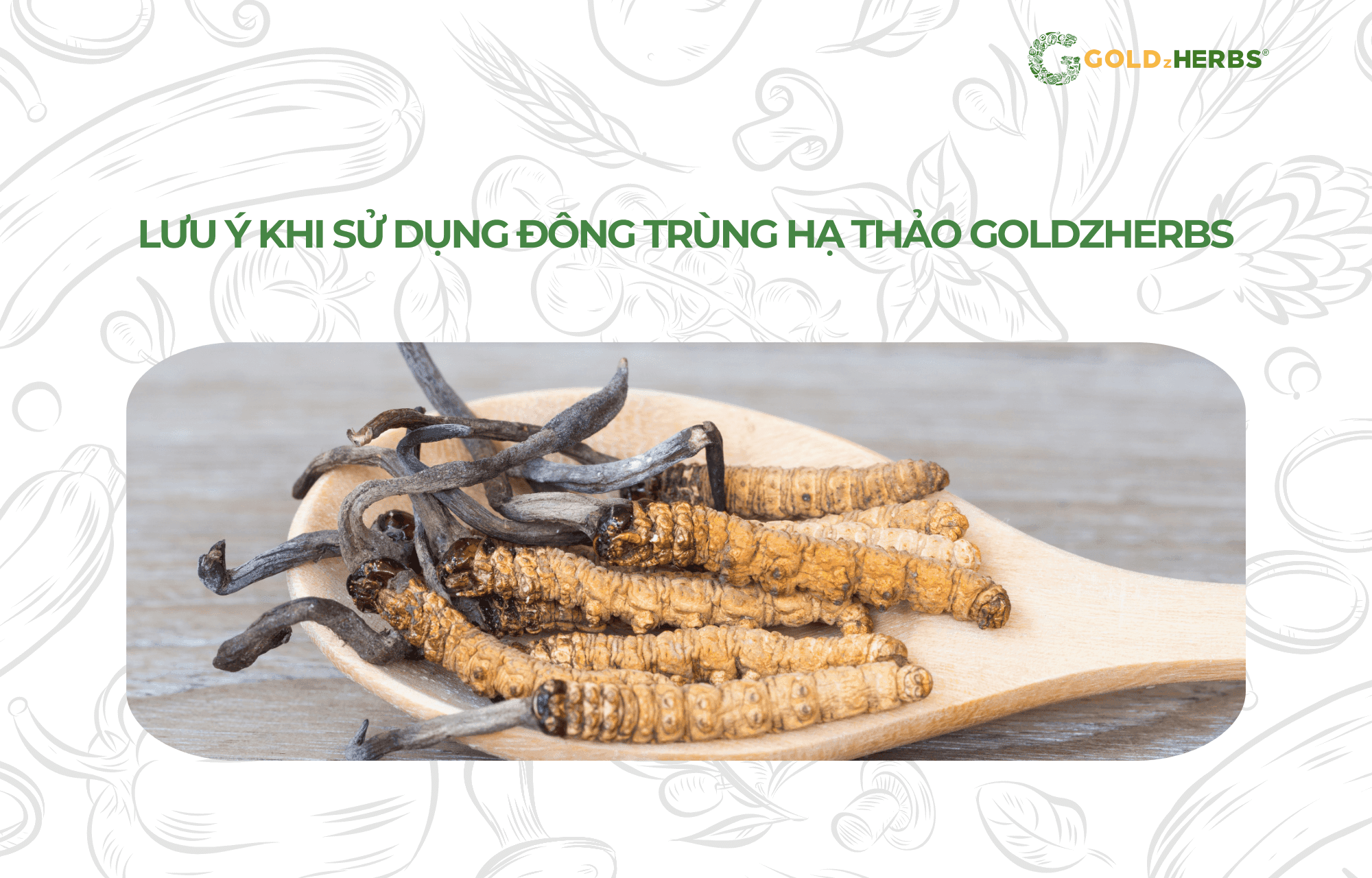 tra-dong-trung-ha-thao-goldzherbs (1)