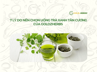 tra-xanh-goldzherbs (4)