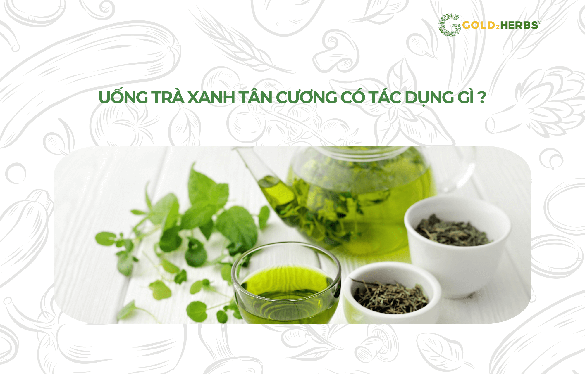 tra-xanh-goldzherbs (4)